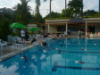 Swimming Competition